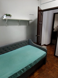 Fortune Park (D19), Condominium #618933271